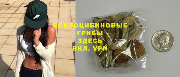 мяу мяу мука Аркадак