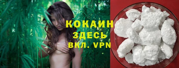 мяу мяу мука Аркадак