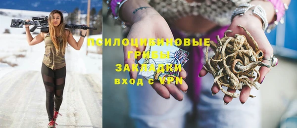мяу мяу мука Аркадак