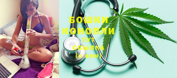 мяу мяу мука Аркадак