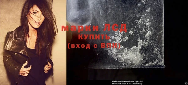 мяу мяу мука Аркадак