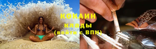 мяу мяу мука Аркадак