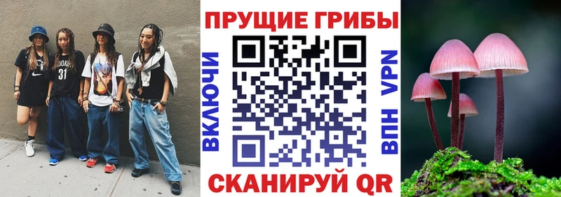 Псилоцибиновые грибы прущие грибы  blacksprut как зайти  Феодосия 
